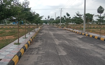 Plot For Sale in Narsingi