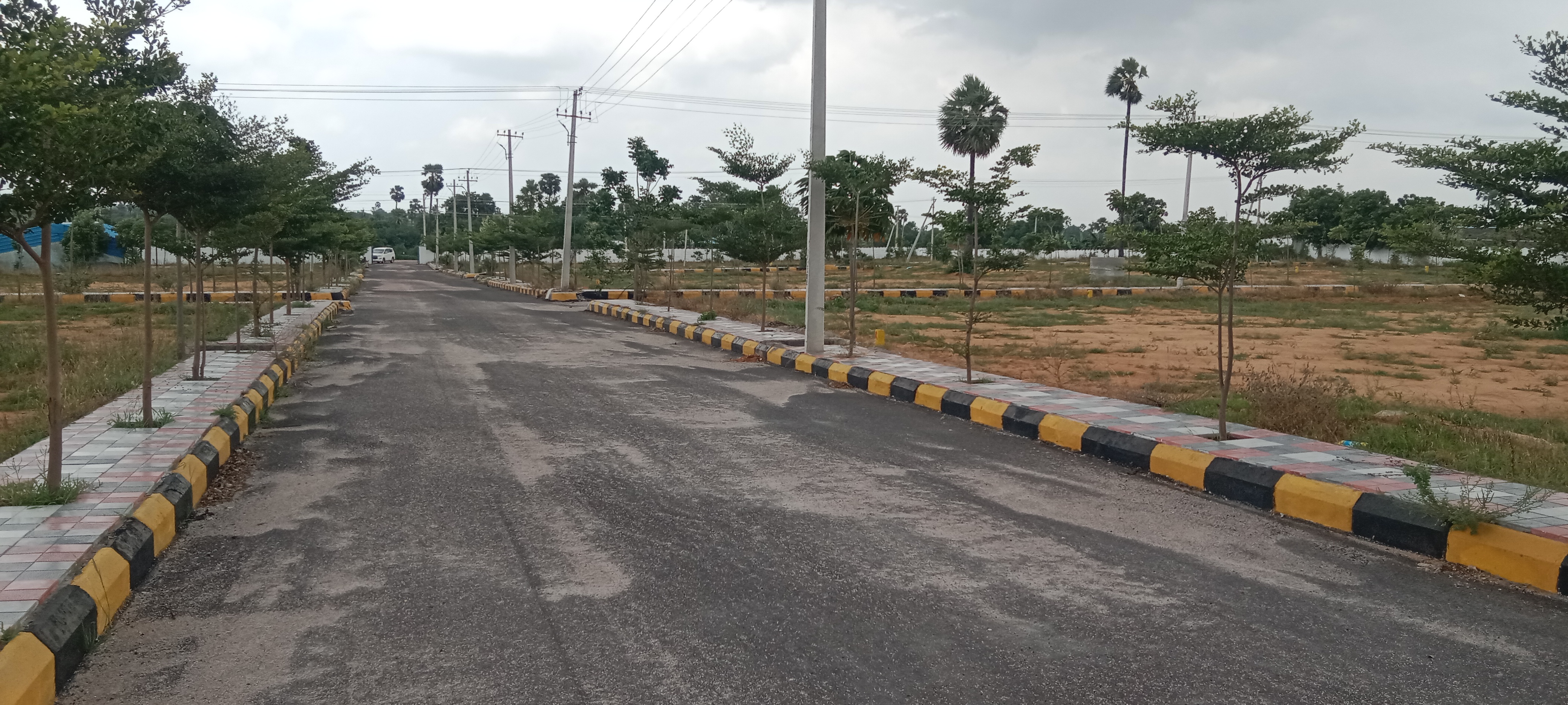 Plot For Resale in Manikonda Hyderabad  7367428