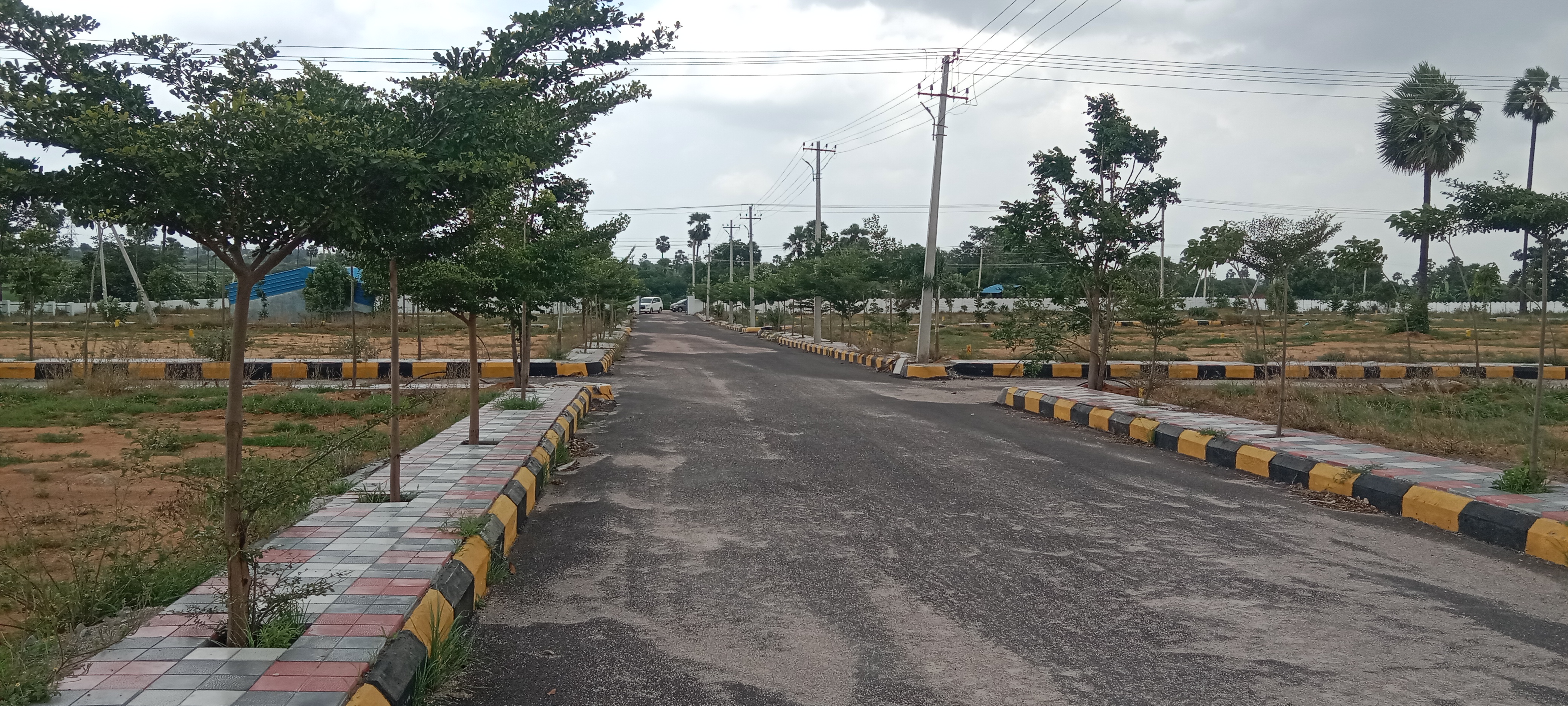 Plot For Resale in Financial District Hyderabad  7367438