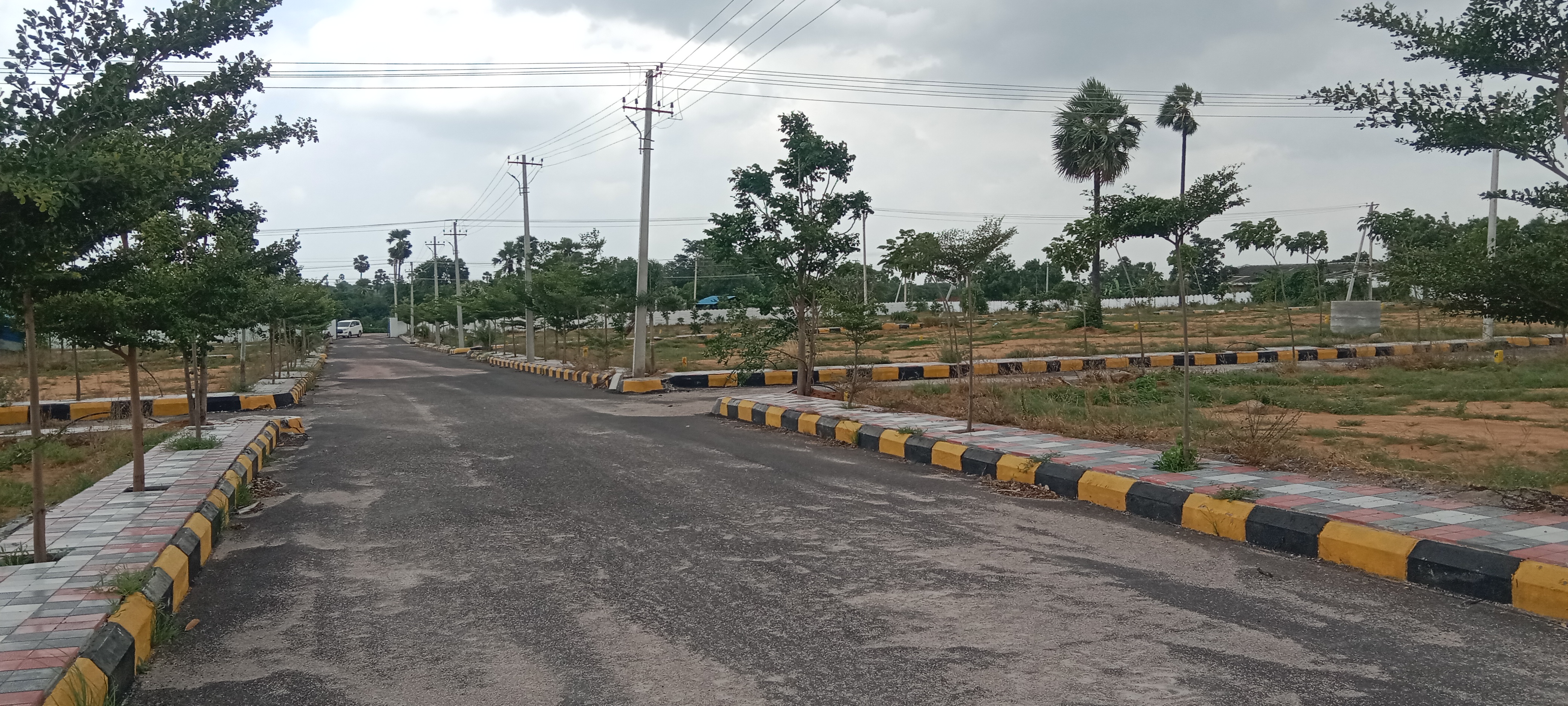 Plot For Resale in Patancheru Hyderabad  7367473