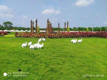  Plot – Garden View at Tagarapuvalasa - for Sale