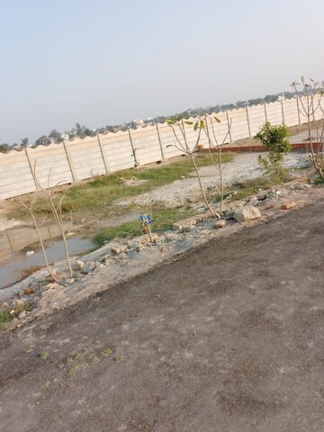 Plot Area in  Plot at Tappal – for Sale