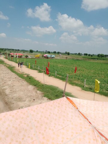 Plot Area in  Plot at Tappal – for Sale