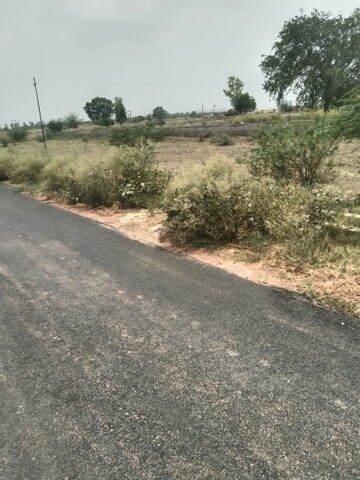Plot Area in  Plot at Sector 145 – for Sale