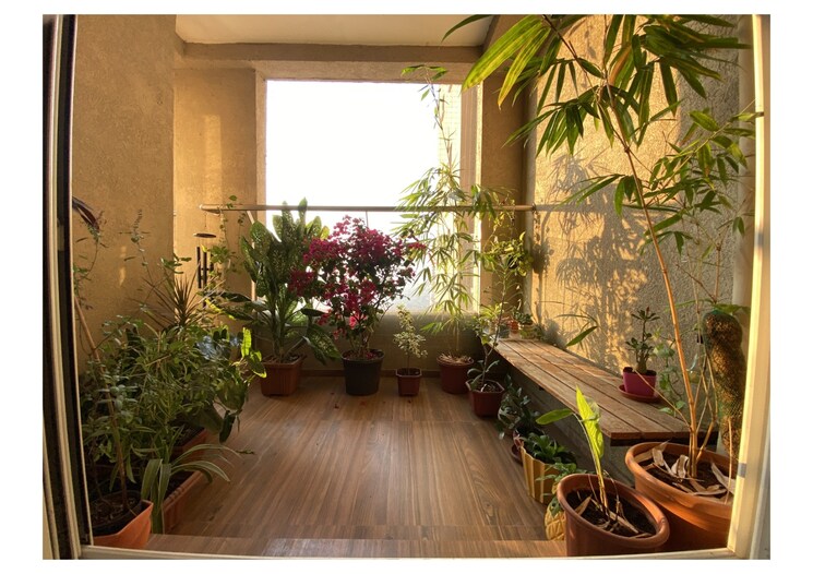 Balcony, dosti-ambrosia 2 Bedroom 1416 Sq.Ft. Apartment In Wadala East Mumbai 7368803