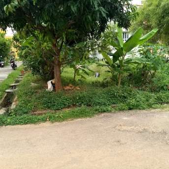 Plot For Resale in Madduru Mandya  7368985