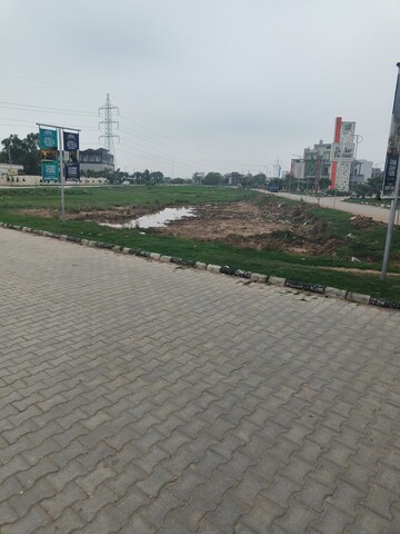  Plot For Sale in Sector 116