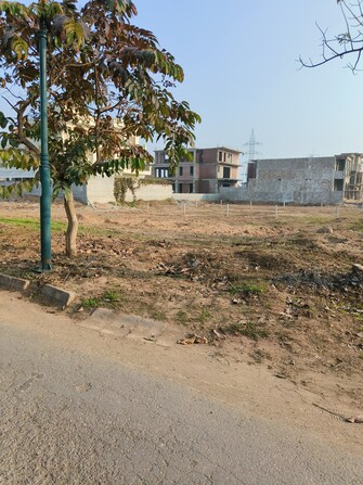 Plot For Resale in Sector 115 Mohali  7369565