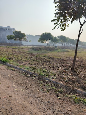 Plot For Resale in Sector 115 Mohali  7369565