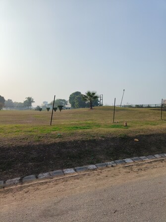 Plot For Resale in Sector 115 Mohali  7369590