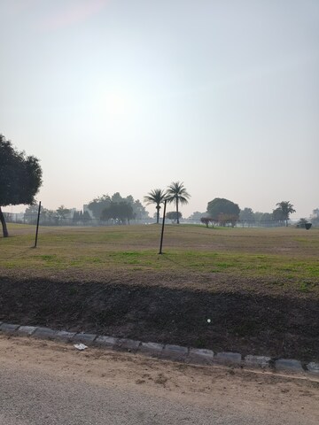 Plot Area in  Plot at Sector 115 – for Sale