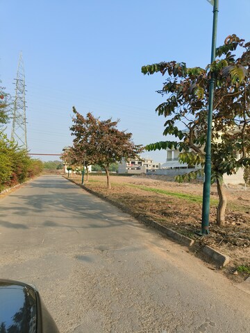 Plot Area in  Plot at Sector 115 – for Sale
