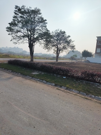 Plot For Resale in Sector 115 Mohali  7369590