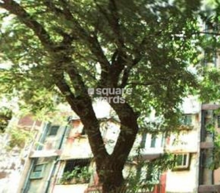 Garden, shankar-apartments-jb-nagar 1 Bedroom 450 Sq.Ft. Apartment In Jb Nagar Mumbai 7369978