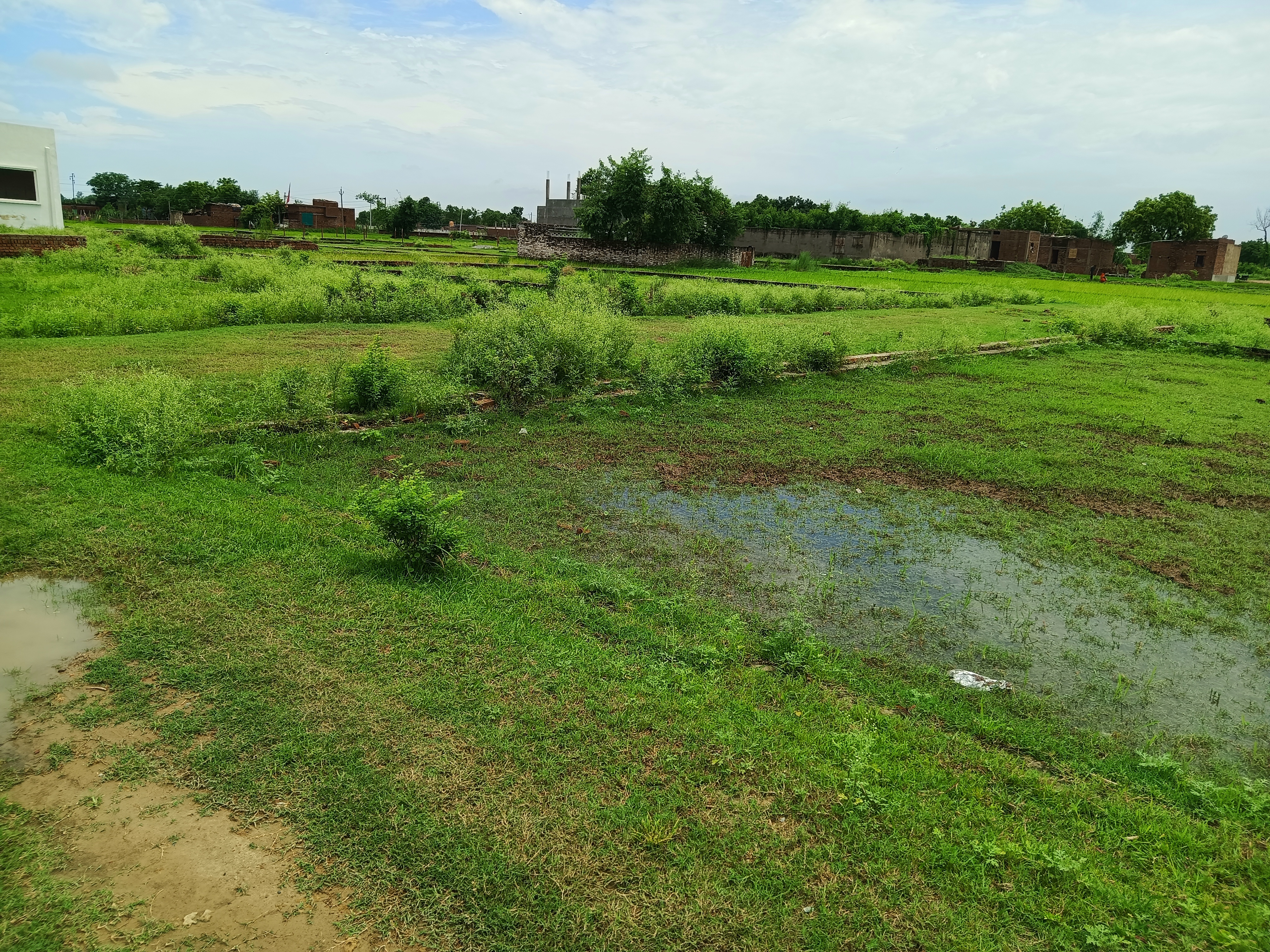 Plot For Resale in Ashok Nagar Varanasi  7370169