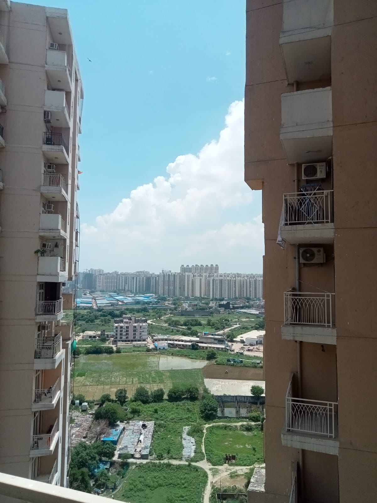 3 BHK Apartment For Rent in Panchsheel Pinnacle Noida Ext Sector 16 Greater Noida  7370621