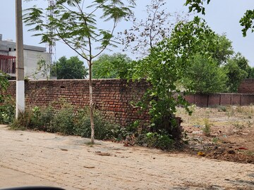  Plot For Sale in Sector 65