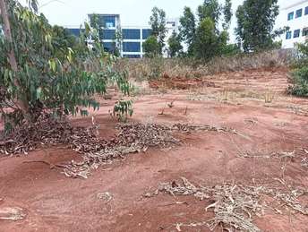 Commercial Land 1 Acre For Resale in Devanahalli Bangalore  7371121