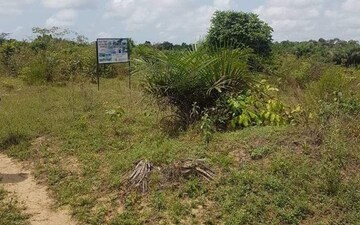 Plot For Sale in Mohabbewala