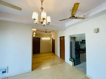 2 BHK Apartment For Rent in Prateek Laurel Sector 120 Noida  7371529