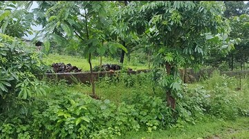 Plot For Resale in The Chalet Karjat Navi Mumbai  7371523