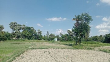  Plot For Sale in Mohabbewala