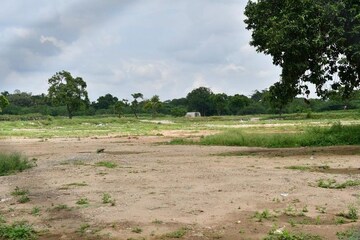 Plot Area in  Plot at Mohabbewala – for Sale