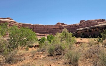 Plot For Sale in Mohabbewala
