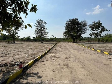  Plot For Sale in Mohabbewala