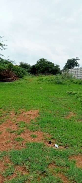 Commercial Land 1 Acre For Resale in Shamirpet Hyderabad  7371913