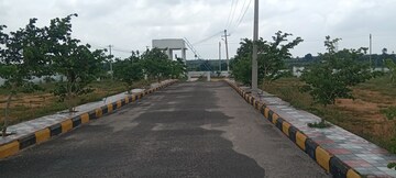  Plot For Sale in Pasumamula