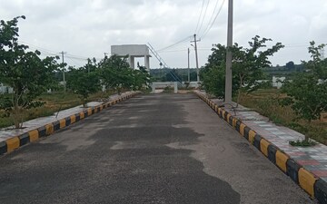 Plot For Sale in Pasumamula