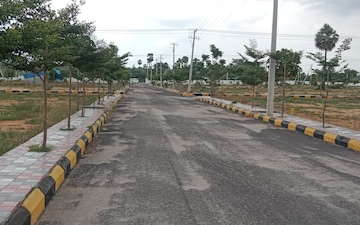 Plot For Sale in Hasmathpet