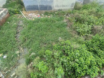  Plot – Garden View at Achheja - for Sale