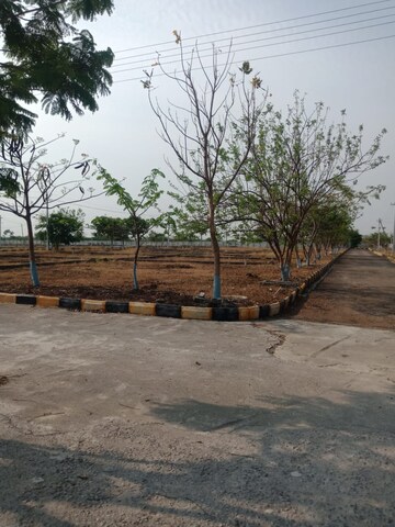 Plot Area in  Plot at Nature City Shadnagar, Shadnagar – for Sale