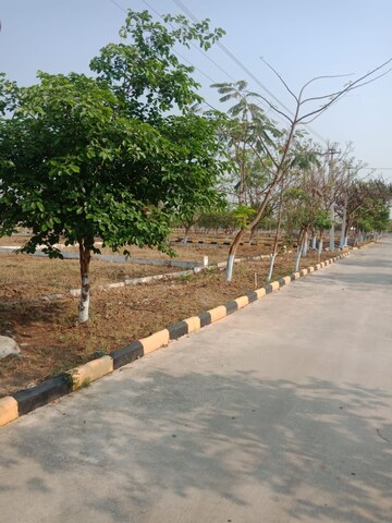 Plot Area in  Plot at Nature City Shadnagar, Shadnagar – for Sale