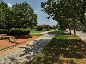 Plot Area in  Plot at Nature City Shadnagar, Shadnagar – for Sale