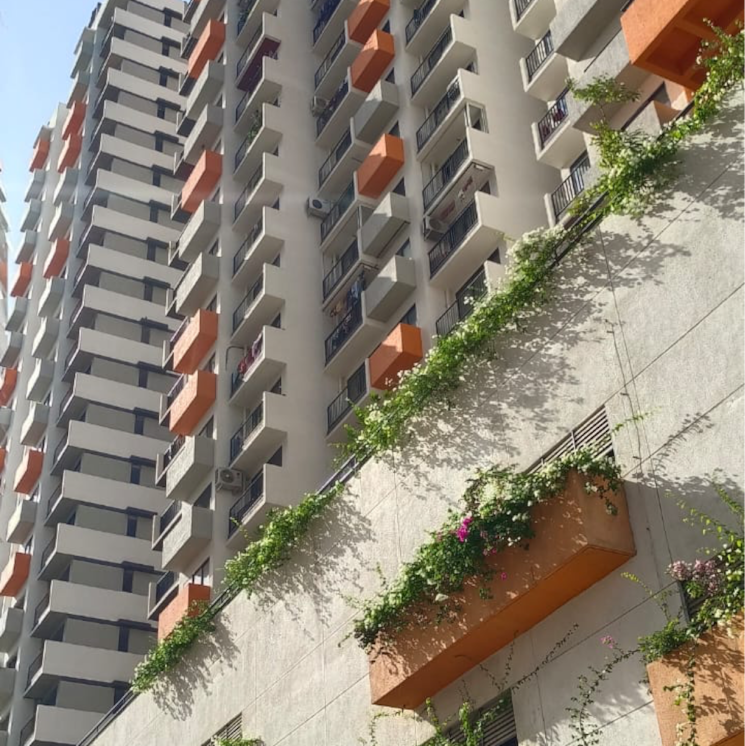 Exterior View, shapoorji-pallonji-codename-arise 1 Bedroom 437 Sq.Ft. Apartment In Bolinj Palghar 7373875