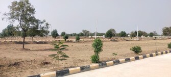 Plot For Resale in Shadnagar Hyderabad  7374143