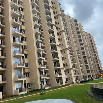 2 BHK Apartment For Resale in Signature Orchard Avenue 2 Hayatpur Gurgaon  7374793