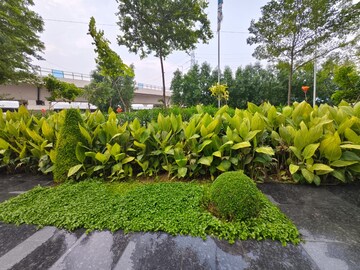 2 BHK Apartment – Garden View at Signature Global Orchard Avenue, Sector 93 - for Sale