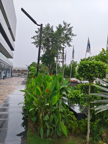 2 BHK Apartment – Garden View at Signature Global Orchard Avenue, Sector 93 - for Sale