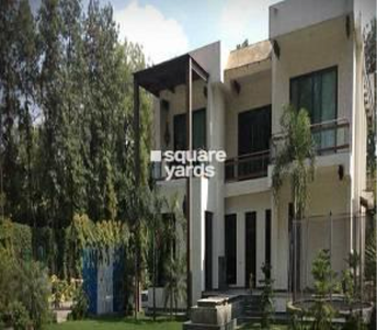 3 BHK Builder Floor For Rent in DLF Chattarpur Farms Dlf Farms Delhi  7375456