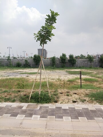  Plot – Exterior View View at Puri Kohinoor, Sector 89 - for Sale