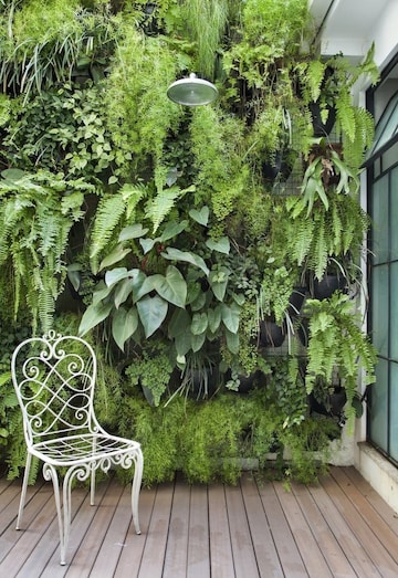 2 BHK Independent House – Garden View at Mohabbewala - for Sale