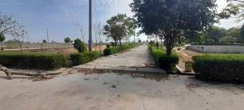 Plot For Resale in Jewar Greater Noida  7376087