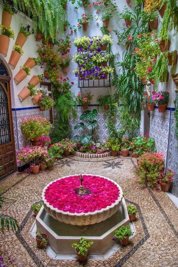 2 BHK Independent House – Garden View at Mohabbewala - for Sale