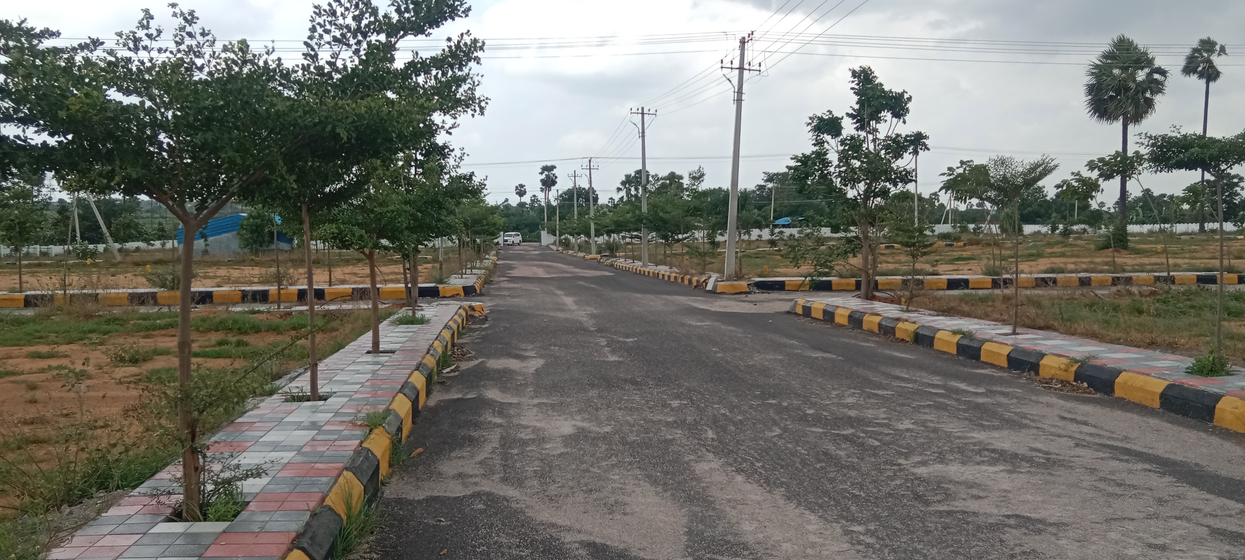 Plot For Resale in Miyapur Hyderabad  7376386