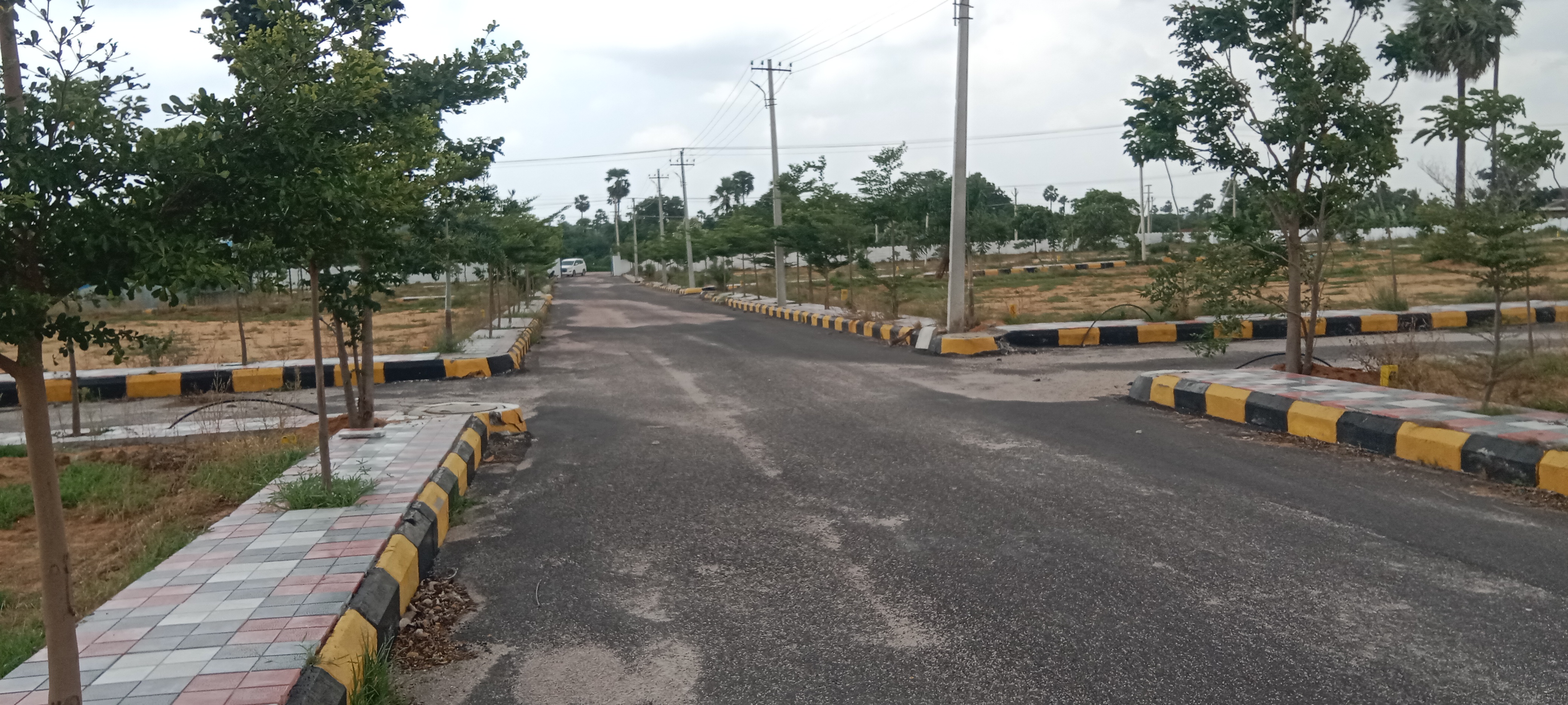 Plot For Resale in Suraram Colony Hyderabad  7376488