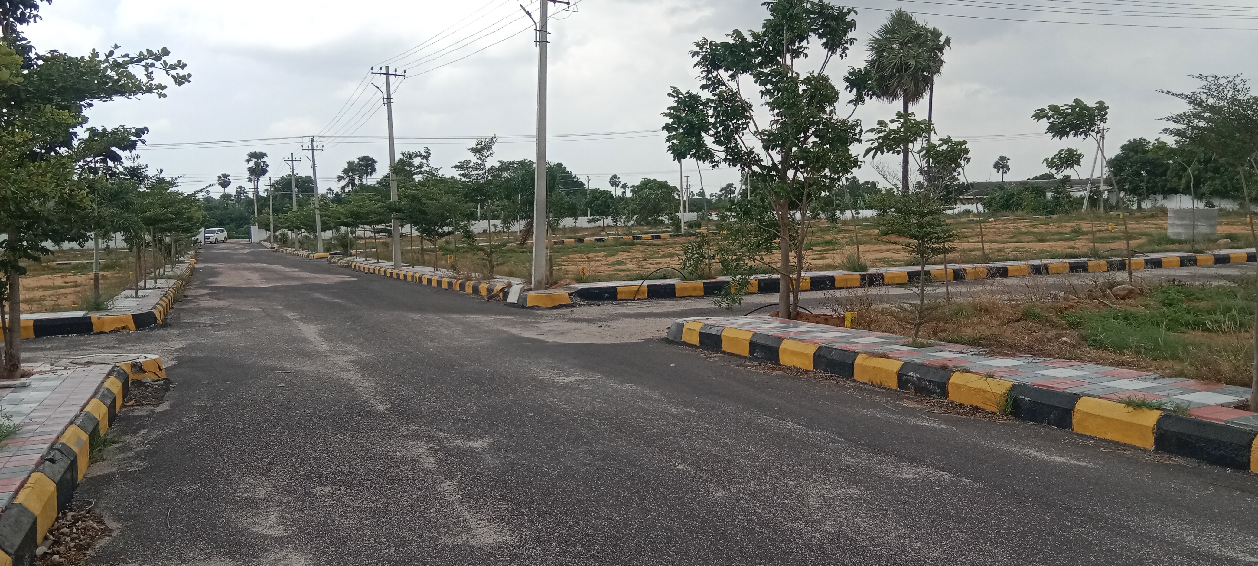 Plot For Resale in Jeedimetla Hyderabad  7376557